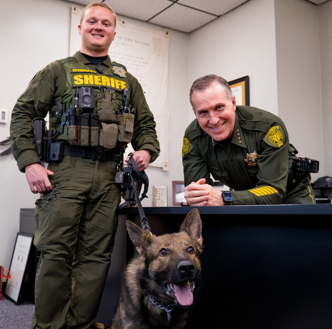 Welcome to WCSO’s new K9 | WASHOE COUNTY K9 PARTNERS